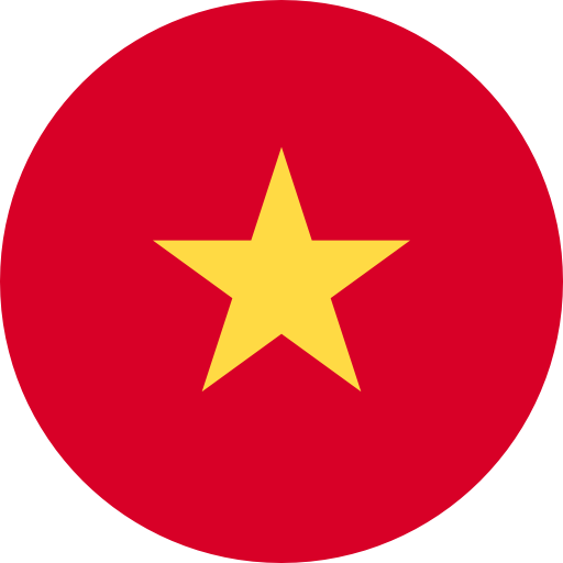 vn