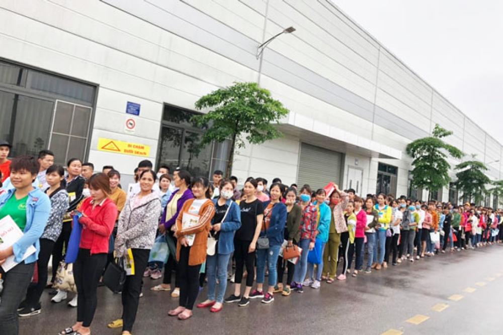 Thiếu định hướng nghề nghiệp, người trẻ “đi đường vòng”